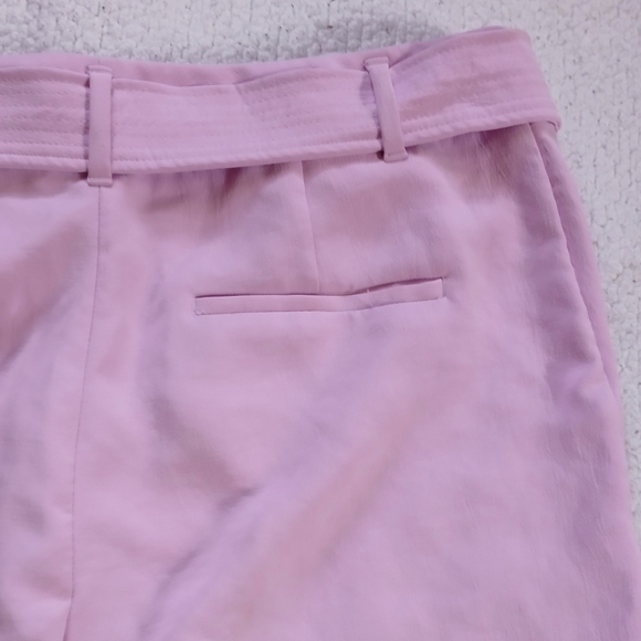Aritzia Wilfred Tie Front Pants orchard  petal Pink Womens size 16 - Picture 13 of 13